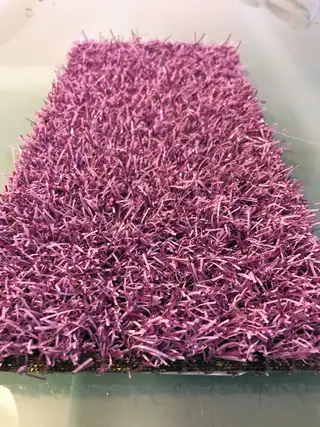 Violetin värinurmen näytepala.