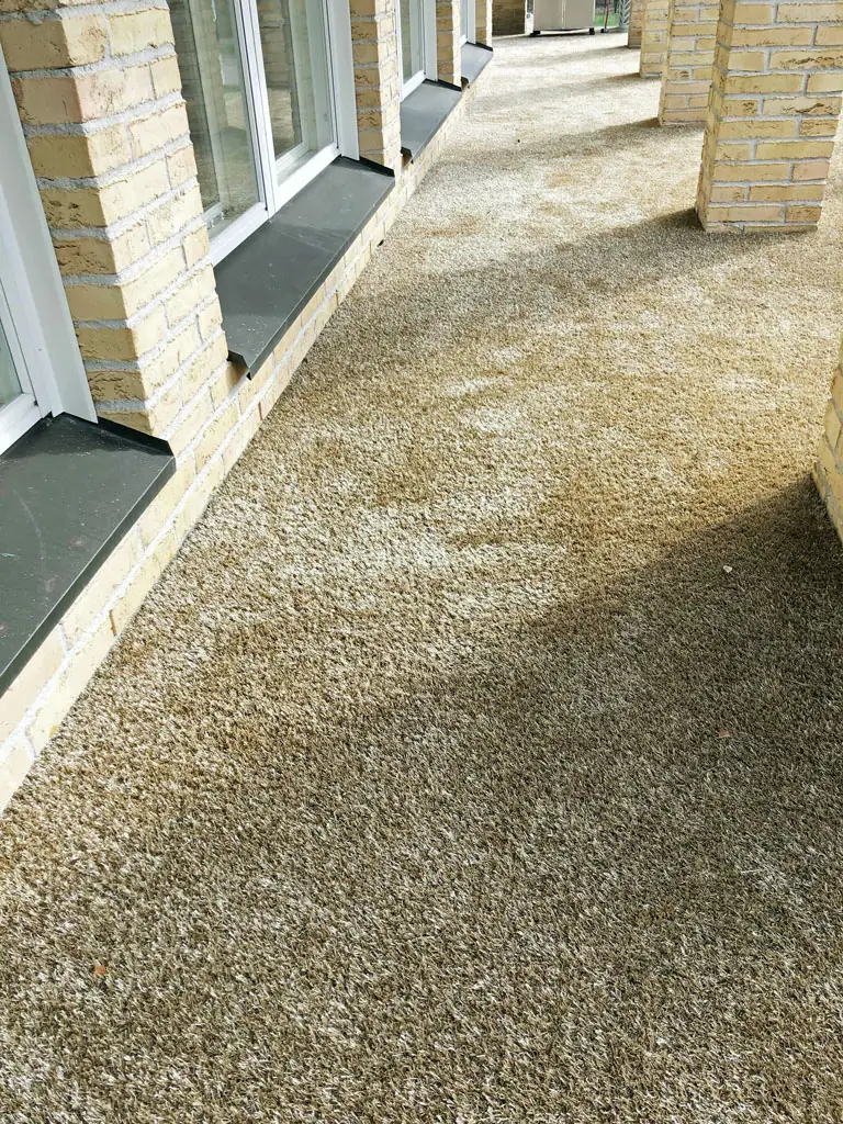 Terassimatto